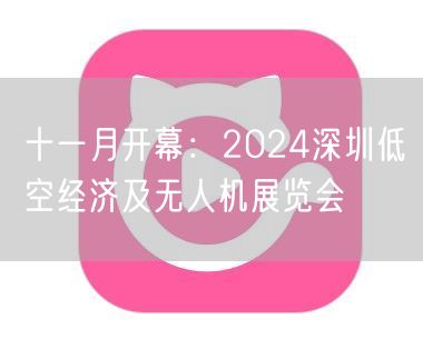 十一月开幕：2024深圳低空经济及无人机